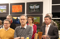 aktuell Ausstellung moosARTig 06